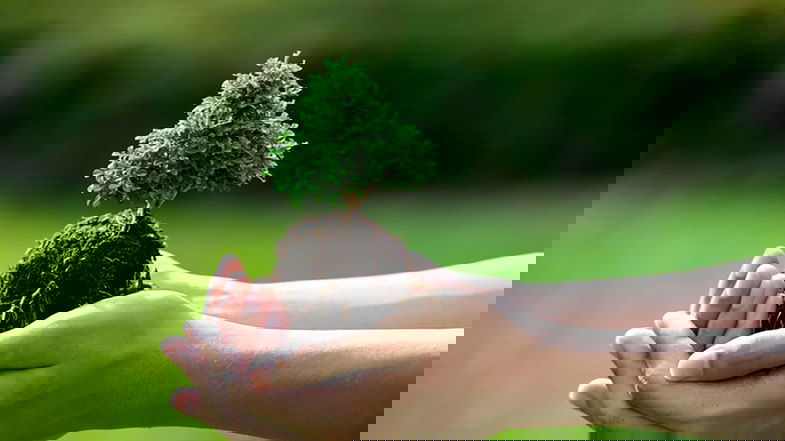 La festa della Natura in città, domenica a Co-Ro l’evento “Urban Nature”