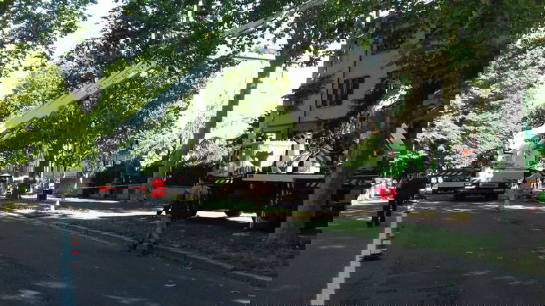 Arredo verde urbano Co-Ro: emessa ordinanza per espianto e sostituzione degli alberi