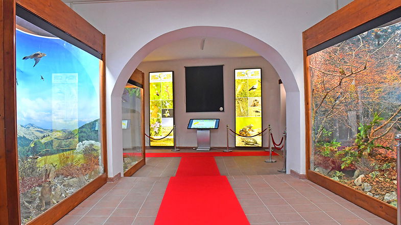 Museo Storia Naturale Tarsia, riapre la sezione dedicata ai diorami delle Aree naturali protette calabresi