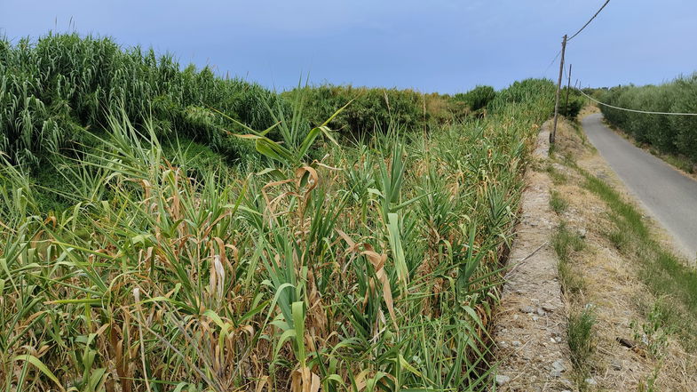 Arriva l'allerta meteo ma non la convenzione per pulire i torrenti