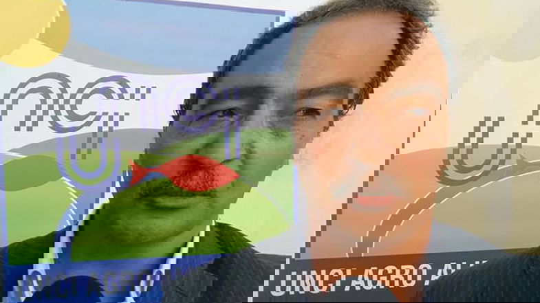 «Istituire il Ministero del mare, per rilanciare filiera ittica ed economia costiera»