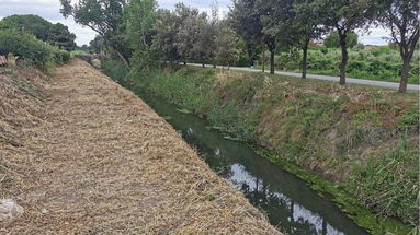 «Nessuna tutela per i lavoratori»: la lettera aperta di un agricoltore che lascia non pochi dubbi e domande