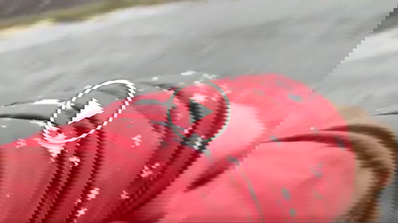 In Sila è arrivata la prima neve: dopo la lunga estate ecco il freddo - VIDEO