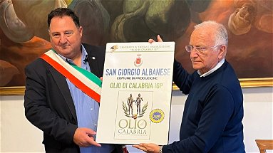 San Giorgio Albanese riconosciuto come “Comune di produzione dell’Olio di Calabria Igp”
