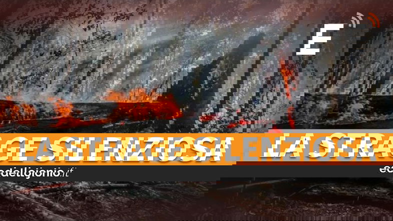 Domani è la festa degli alberi: un momento per riportare attenzione sul dramma degli incendi nella Sibaritide-Pollino
