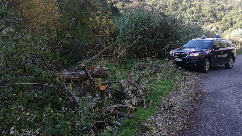 Sequestrato un cantiere di inerti e sorpresi due soggetti mentre trafugavano legname