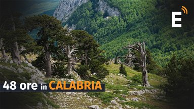 Immergersi nella natura incontaminata della Calabria in 48 ore: ecco dove andare e cosa fare 
