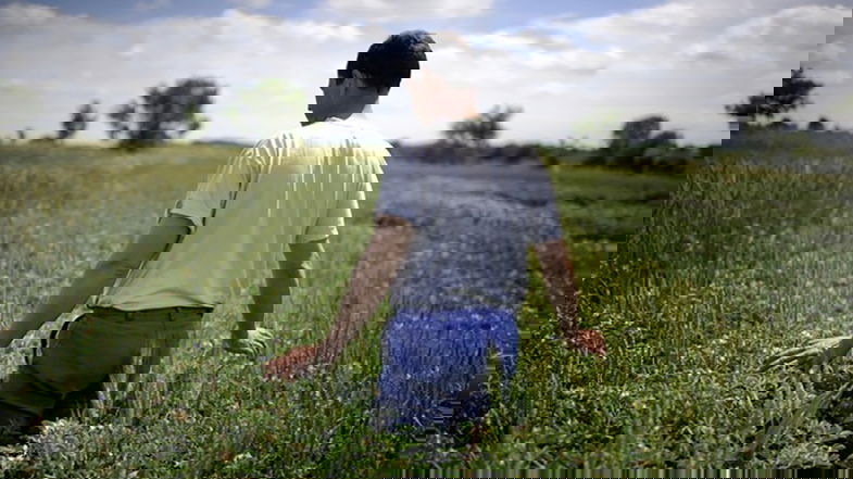 Finanza etica e progetti a sostegno dell'agricoltura: dare le terre incolte ai giovani