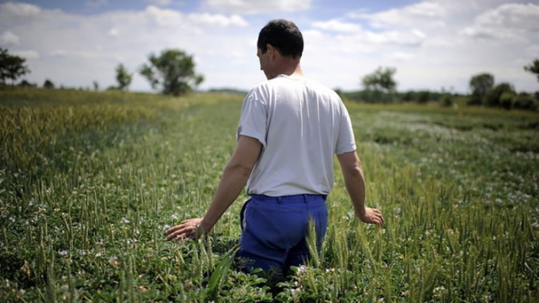 Finanza etica e progetti a sostegno dell'agricoltura: dare le terre incolte ai giovani