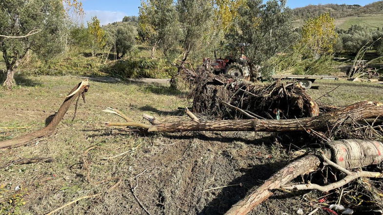 L'anno terribile dell'agricoltura, falcidiata da siccità, nubifragi e costi alle stelle