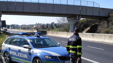 Furto di energia elettrica, maltrattamenti in famiglia, lesioni e spaccio: la complessa settimana della Polizia 