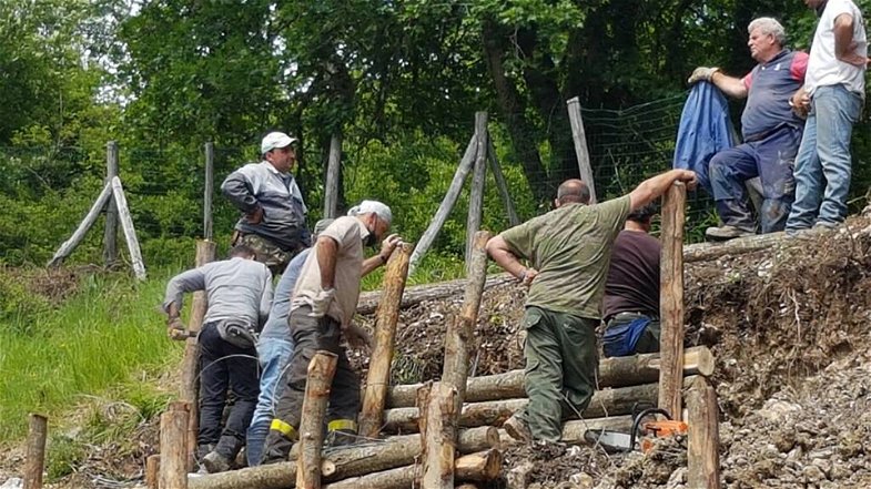 Fai, Flai, Uila Calabria proclamano stato di agitazione forestazione: «Risorse insufficienti»