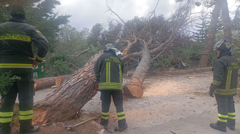 Tramontana oltre i 40 nodi nella notte si abbatte su Capo Trionto: mare alto e danni 