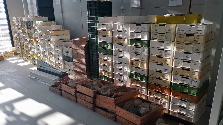Quasi 500mila reperti pronti a stupire: i magazzini del Parco Archeologico di Sibari sono uno scrigno di tesori