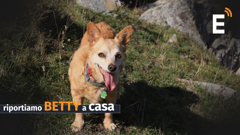 Trebisacce, mille euro di ricompensa per chi ritrova Betty