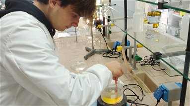 Gli studenti dell’Aletti usano “il Biondo di Trebisacce” per realizzare creme e balsami