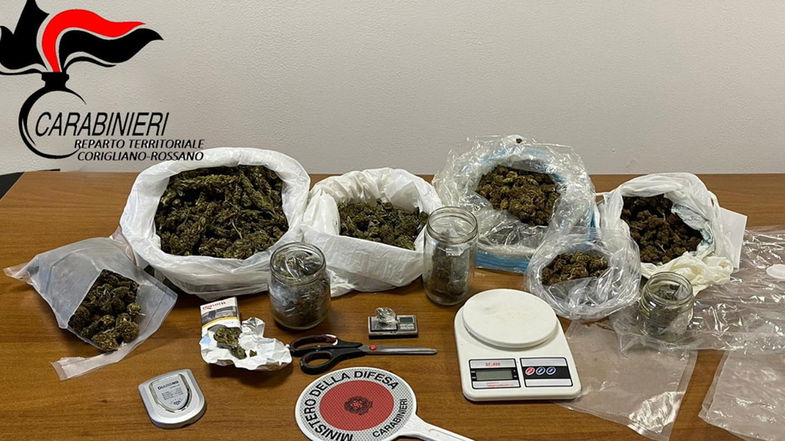 Crosia, nasconde più di un chilo di marijuana: arrestato