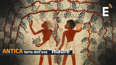 La Calabria: luogo chiave per riscrivere la storia delle origini del Vino