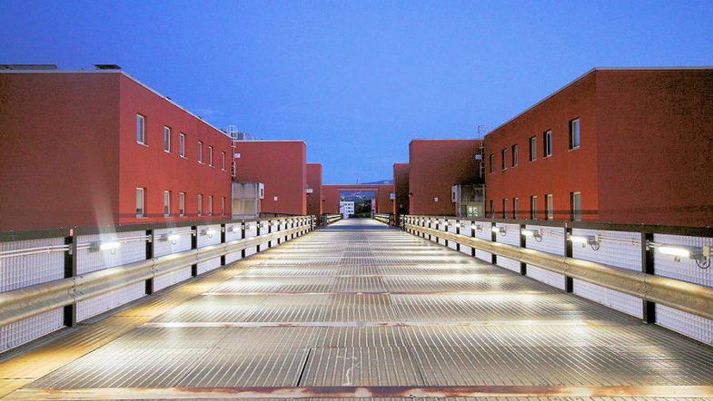 All'Unical parte l’ammissione anticipata ai corsi di laurea triennale e magistrale a ciclo unico. I dettagli