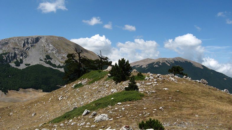 Morano Calabro, le guide dei parchi calabresi e lucani si incontrano nel cuore del Pollino a Campotenese