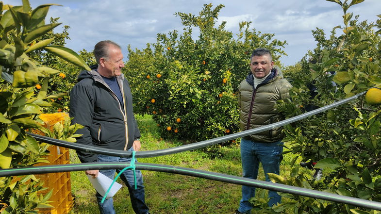 L’ingrediente perfetto… gli agrumi di Corigliano-Rossano. Domenica in onda su La7