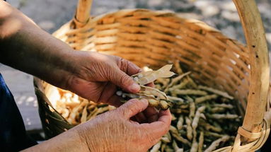 Il Fagiolo Poverello Bianco, il legume dal gusto delicato che ha incanto grandi e piccoli