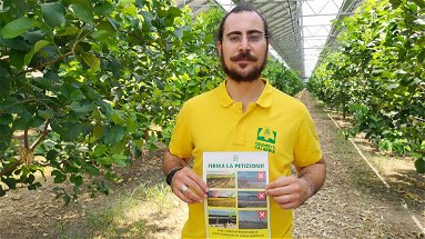 Il fotovoltaico “ruba” terra agli agricoltori, Coldiretti dice «no all'energia che sostituisce il cibo»