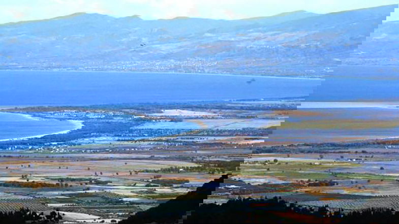Rilanciare la centralità della Piana di Sibari nel contesto agricolo calabrese