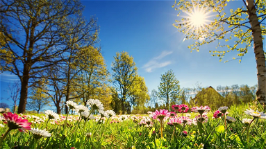 L'affascinante fenomeno dell'equinozio di primavera: è iniziata la bella stagione colorata 
