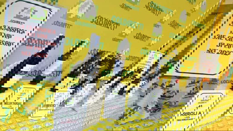 Coldiretti: al Vinitaly vincono le bottiglie autoctone e il Cirò entra nella top 15