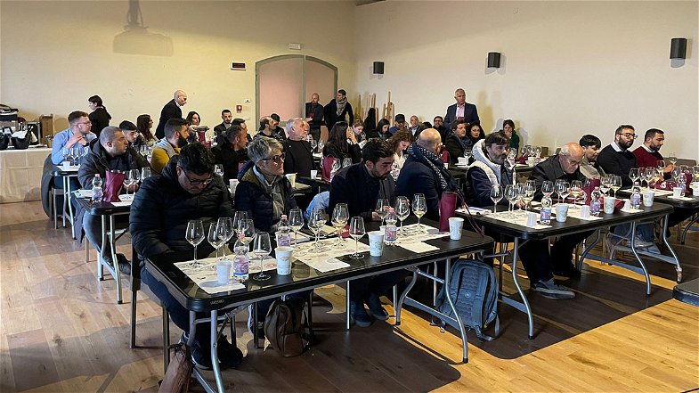 Local Wine Experience, i vini del consorzio Terre di Cosenza Dop da conoscere ed apprezzare anche in Calabria