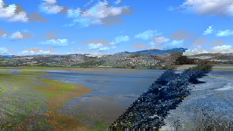 Verrà presentata la Guida Naturalistica Multimediale delle Riserve del Lago di Tarsia e della Foce del fiume Crati