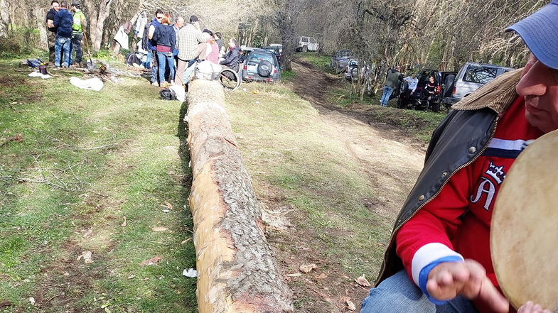 Non è un semplice albero: è la Pita! Dopo tre anni ad Alessandria del Carretto torna l'antica Festa dell'Albero