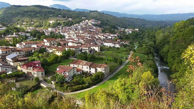 Laino Borgo, piante come sentinelle della qualità ambientale: ecco com’è l'aria nella Valle del Mercure