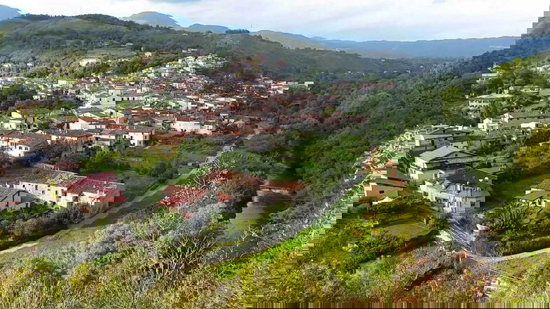 Laino Borgo, piante come sentinelle della qualità ambientale: ecco com’è l'aria nella Valle del Mercure