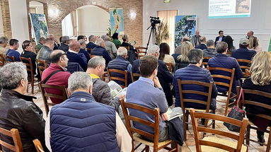 Ambiente, foreste e lavoro protagonisti del libro “Alberi monumentali in Calabria” di Francesco Bevilacqua 