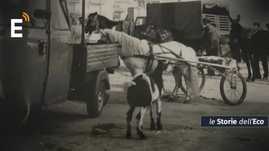 Fiera di Maggio a Schiavonea, il racconto di un evento senza tempo