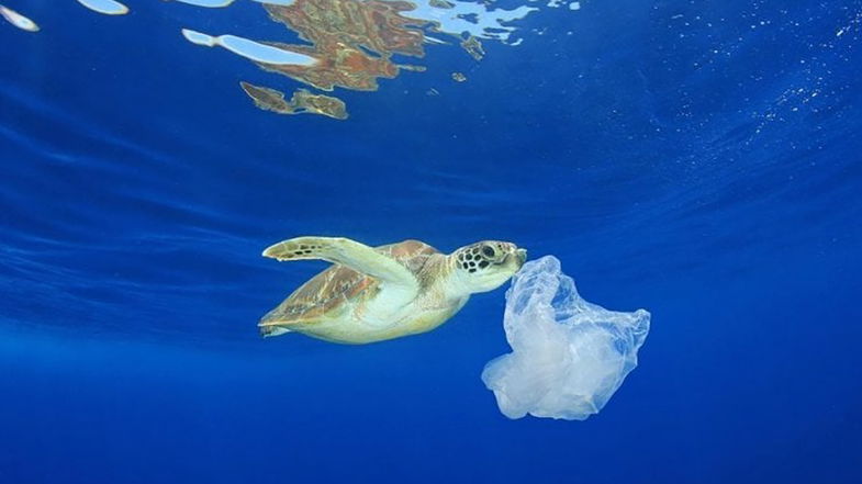 Trebisacce dopo il ritorno della Bandiera Blu si candida a diventare Comune Plastic Free