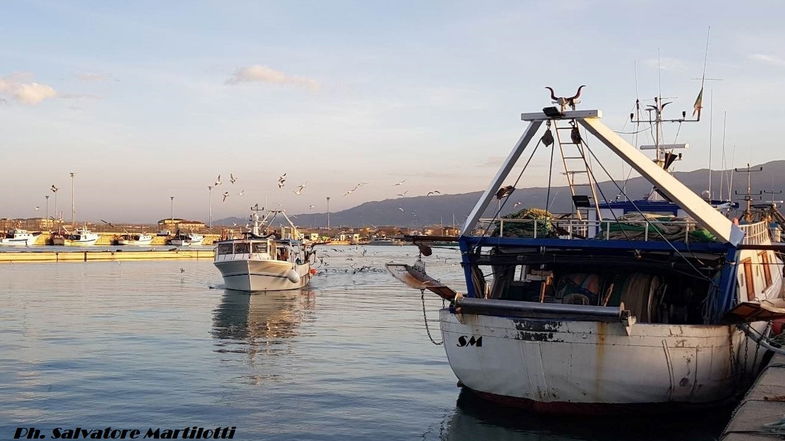 Settore pesca in Calabria: al via il decreto per il fermo obbligatorio 2023