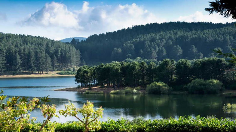 Ecodays per la Natura e l'Ambiente: tre giorni di eventi nel Parco Nazionale della Sila