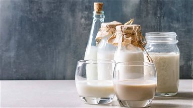 In arrivo il latte sintetico: prodotto senza aver mai visto neppure l’ombra di una mucca