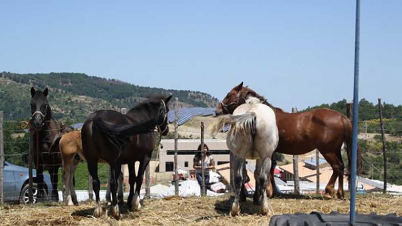 Campana, tutto pronto per la 557^ edizione della Fiera della Ronza