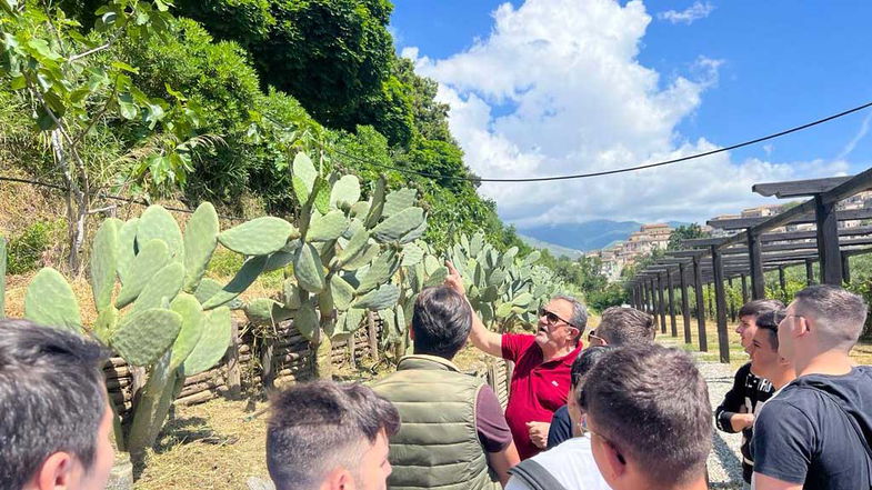 L'Istituto di Co-Ro Majorana chiude l'anno scolastico con la Festa del Grano Bio 