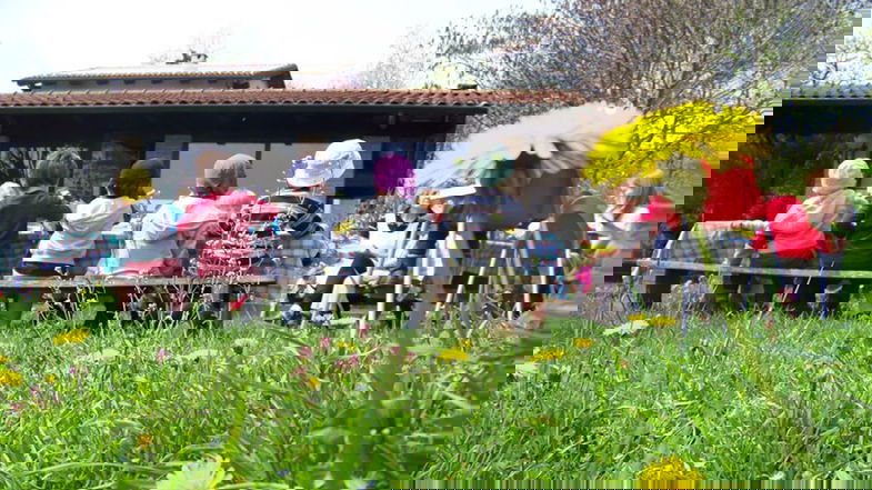 Istituire in Calabria gli Agrinido e Agriasilo, una delle proposte di legge a costo zero di Tavernise (M5s)