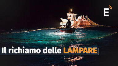 Le Lampare illuminano le notti d'estate: il rito antico di una pesca senza tempo