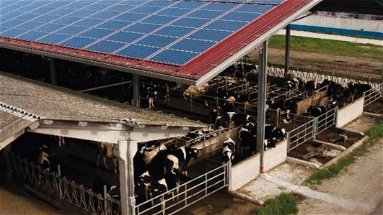 Coldiretti Calabria, PNRR: «I pannelli fotovoltaici si possono installare sulle stalle»