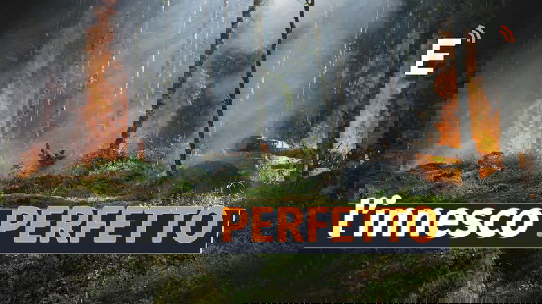 Emergenza incendi, la Sila Greca è una bomba ad orologeria: manca manutenzione da decenni