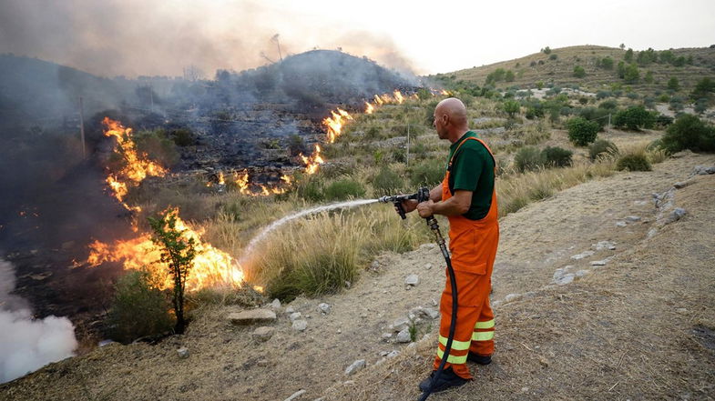  SOS forestali nella Sila Greca: Mandatoriccio lancia la petizione per il ripristino 