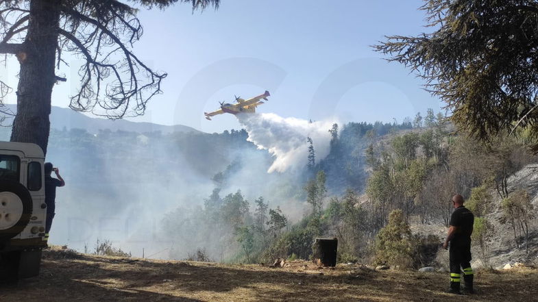 Brucia Piana Caruso, arrivano due canadair della Protezione civile: fiamme lambiscono le case