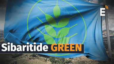 La Sibaritide fa il pieno di Spighe Verdi: da Crosia a Trebisacce 4 comuni conquistano l'alter ego green della Bandiera Blu